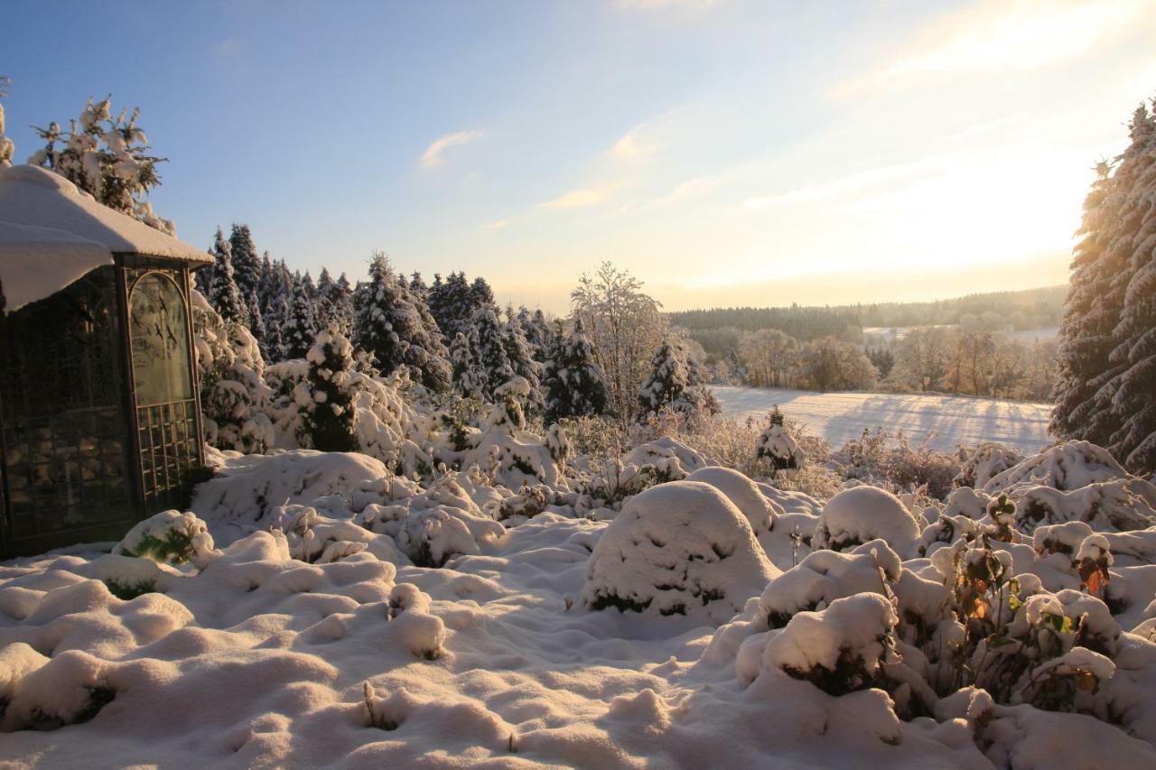 Ferienhaus Sonne, Harz Und Sterne Hohegeiss Luaran gambar