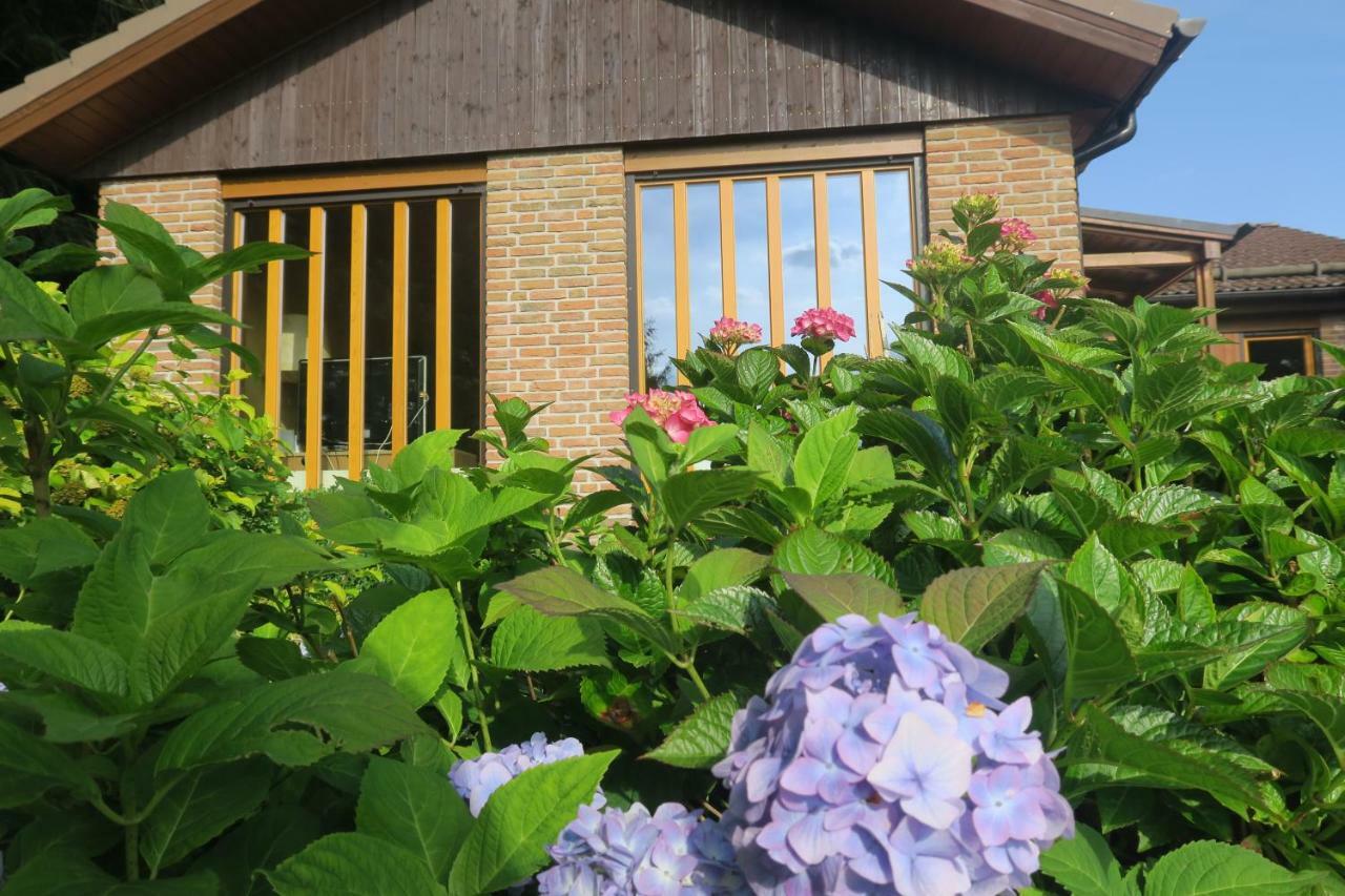 Ferienhaus Sonne, Harz Und Sterne Hohegeiss Luaran gambar